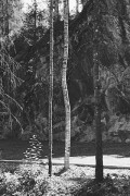 Untitled_1183_.jpg