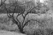 Untitled_377_.jpg