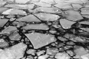 Untitled_485_.jpg