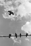 Untitled_673_.jpg