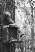 Untitled_834_.jpg