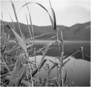 agfa-14-04-rf.jpg