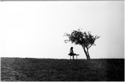 frame10_1.jpg