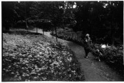 frame16_0.jpg