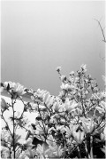 frame16_2.jpg