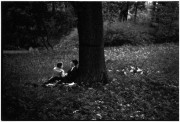 frame22_22.jpg