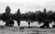 image28.jpg