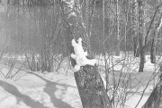 img0805.jpg