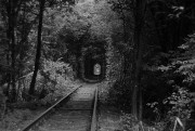 img0931.jpg