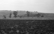 img1015.jpg img1015.jpg