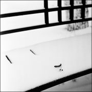 img153_.jpg