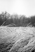 img839.jpg