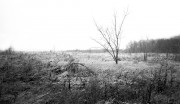 img8673.jpg