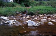 istochnik.jpg