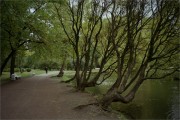 knn_OlympusXA_16_Fujicolor_C200_01_2014_iso160_9_1200.jpg