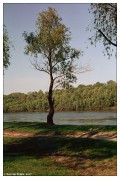 river.jpg river.jpg