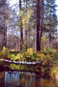 scan0005.jpg
