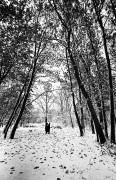 snow_.jpg