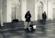 11855.JPG 11855.JPG