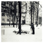 11870.JPG 11870.JPG