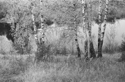 26700018.JPG 26700018.JPG