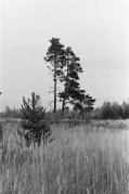 26700035.JPG 26700035.JPG
