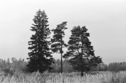 26700036.JPG 26700036.JPG