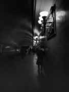 41065.JPG 41065.JPG