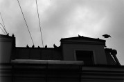 7086931089_498ca20fea_c.jpg 7086931089_498ca20fea_c.jpg