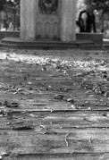 ContaxE-Biotar58mm-20161016-003.jpg ContaxE-Biotar58mm-20161016-003.jpg