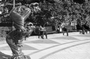 ContaxE-Biotar58mm-20161016-007.jpg ContaxE-Biotar58mm-20161016-007.jpg