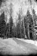 FS-20170120-002.jpg