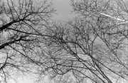 IMG_01012.JPG IMG_01012.JPG