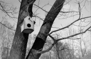 IMG_0104.JPG IMG_0104.JPG