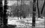 IMG_01111.JPG IMG_01111.JPG