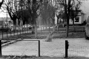 IMG_0234.JPG