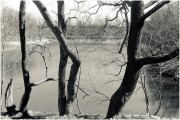 IMG_0293.JPG