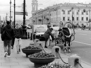IMG_03001.JPG