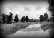 IMG_0446-1.jpg