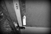 IMG_1138.JPG