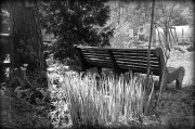 IMG_2017.JPG