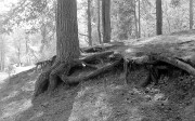 IMG_2035.JPG