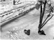 IMG_2363.JPG IMG_2363.JPG