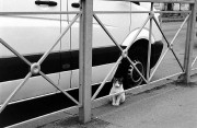 IMG_2448.jpg IMG_2448.jpg