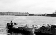 IMG_2519.JPG