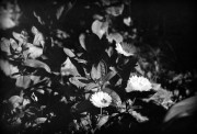 IMG_2577.JPG