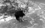 IMG_3028.JPG IMG_3028.JPG