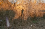 Kiev2_Ju8-20160424-019.jpg