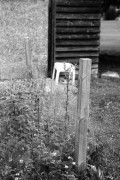 Kiev4_J8m_PolypanF50_3min_3min_in_HC100B_June_2015101.JPG Kiev4_J8m_PolypanF50_3min_3min_in_HC100B_June_2015101.JPG