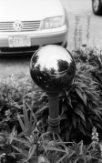 Kiev4_J8m_PolypanF50_3min_3min_in_HC100B_June_2015109.JPG